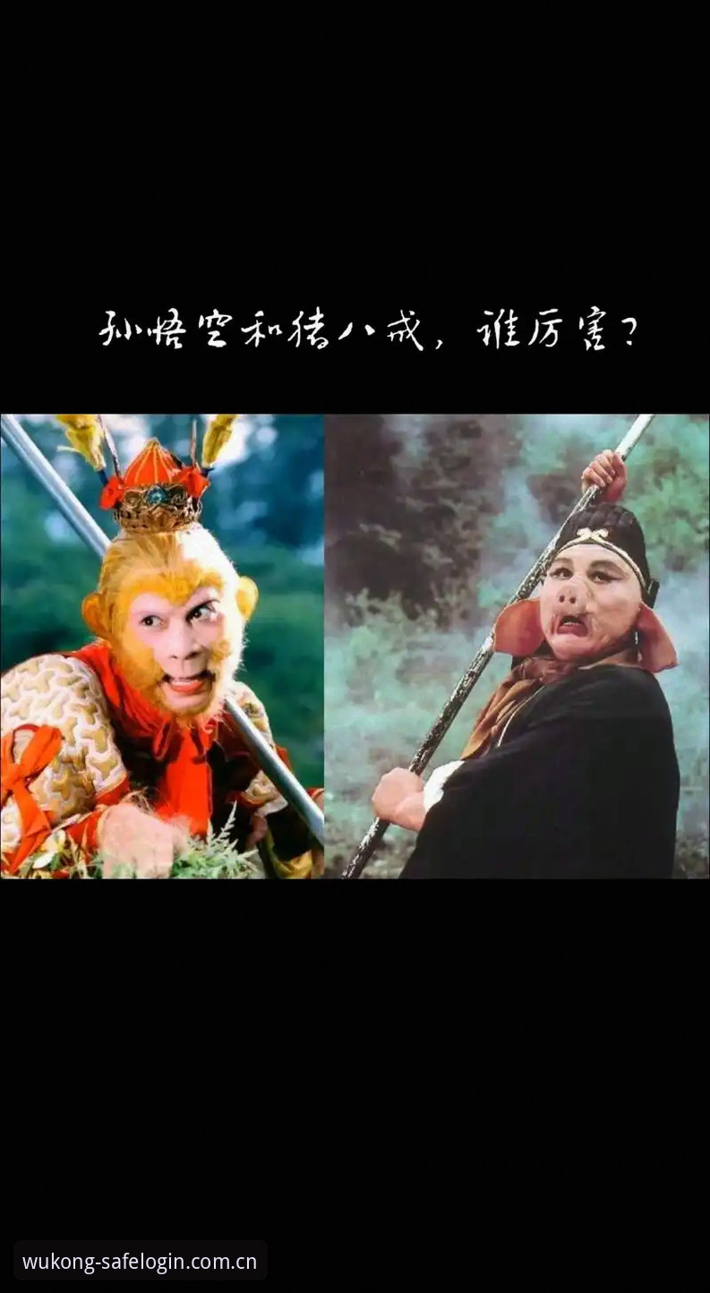 揭秘悟空体育使用教程：登录入口与安全操作背后的真相